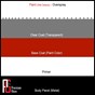 Precision Glaze Types of Paint Defects